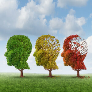 3 Ways the Brain Changes with Alzheimer’s