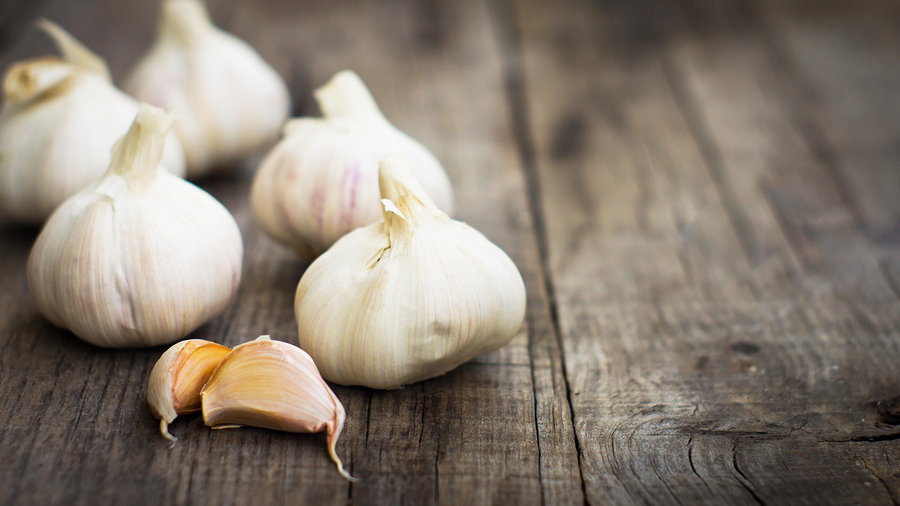 Homecare in Monroe NJ: Do Onions and Garlic Prevent Cancer?